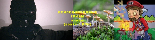 ешки Майский