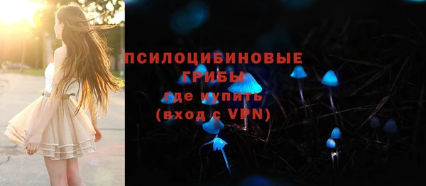 PSILOCYBIN Беломорск