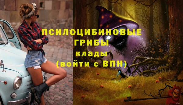 ешки Майский
