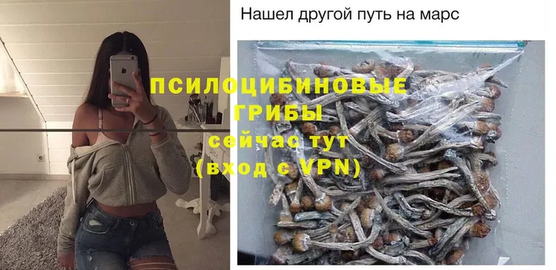 Псилоцибиновые грибы MAGIC MUSHROOMS  darknet состав  Елизово 