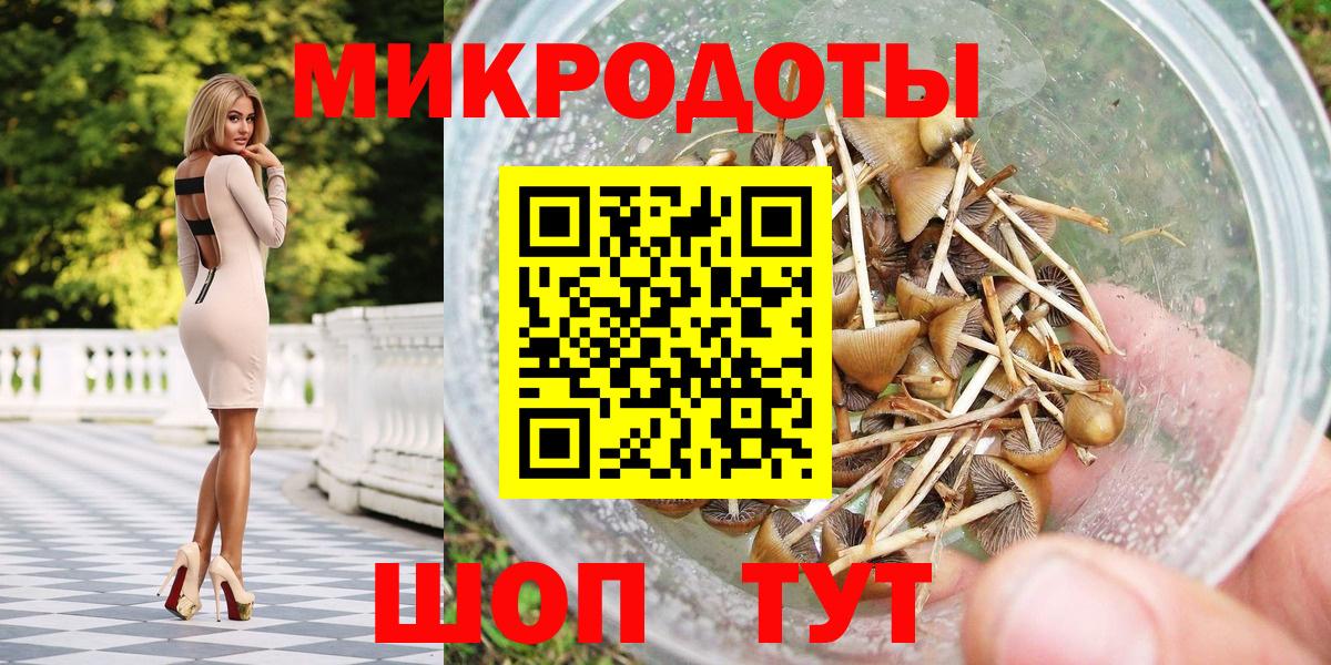 Галлюциногенные грибы Psilocybine cubensis Елизово