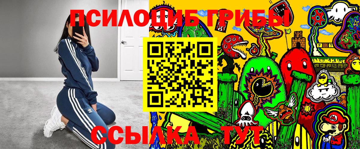 Галлюциногенные грибы MAGIC MUSHROOMS  Елизово 