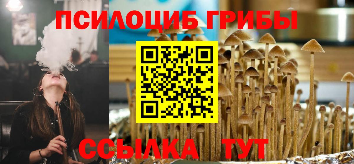 Елизово  Псилоцибиновые грибы MAGIC MUSHROOMS  Вход с VPN 
