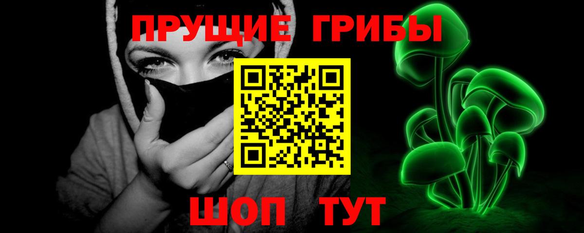 Галлюциногенные грибы Psilocybe Елизово