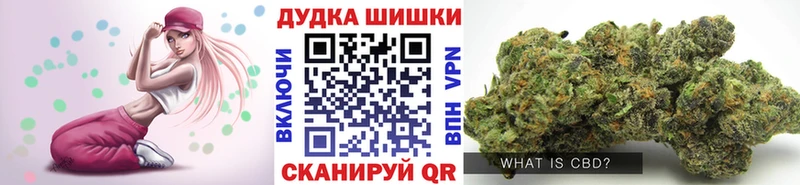Конопля SATIVA & INDICA  закладки  Елизово 
